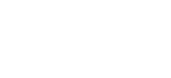 SundVision - Fleksibelt IT